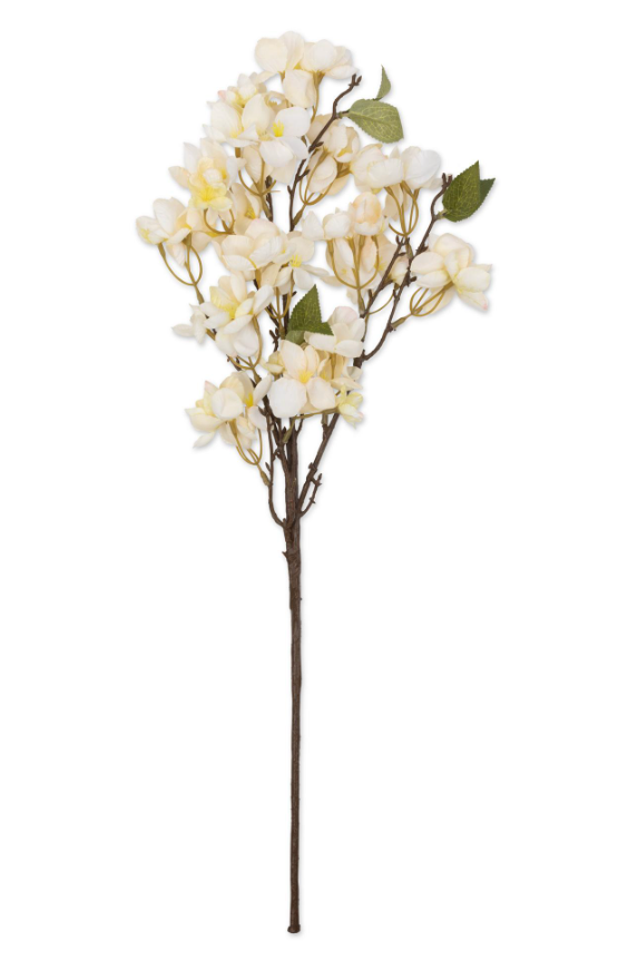 G4047 Apricot Blossom