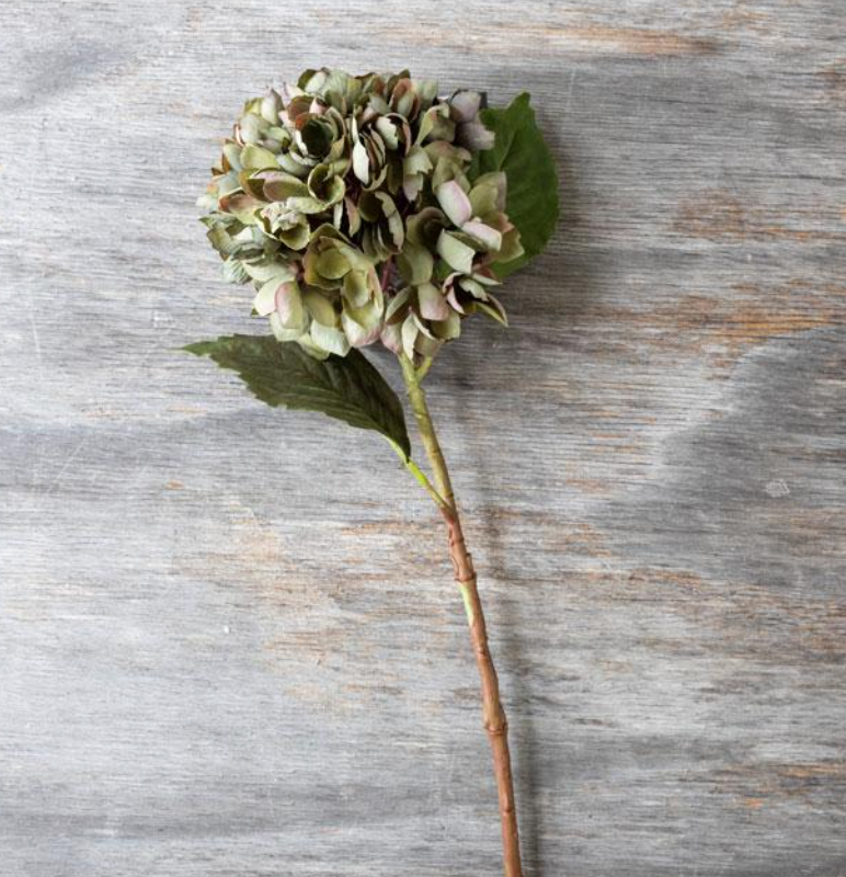 G4035 Hydrangea Chloris Stem