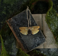5409 Cream & Balck Moth Ornamentr
