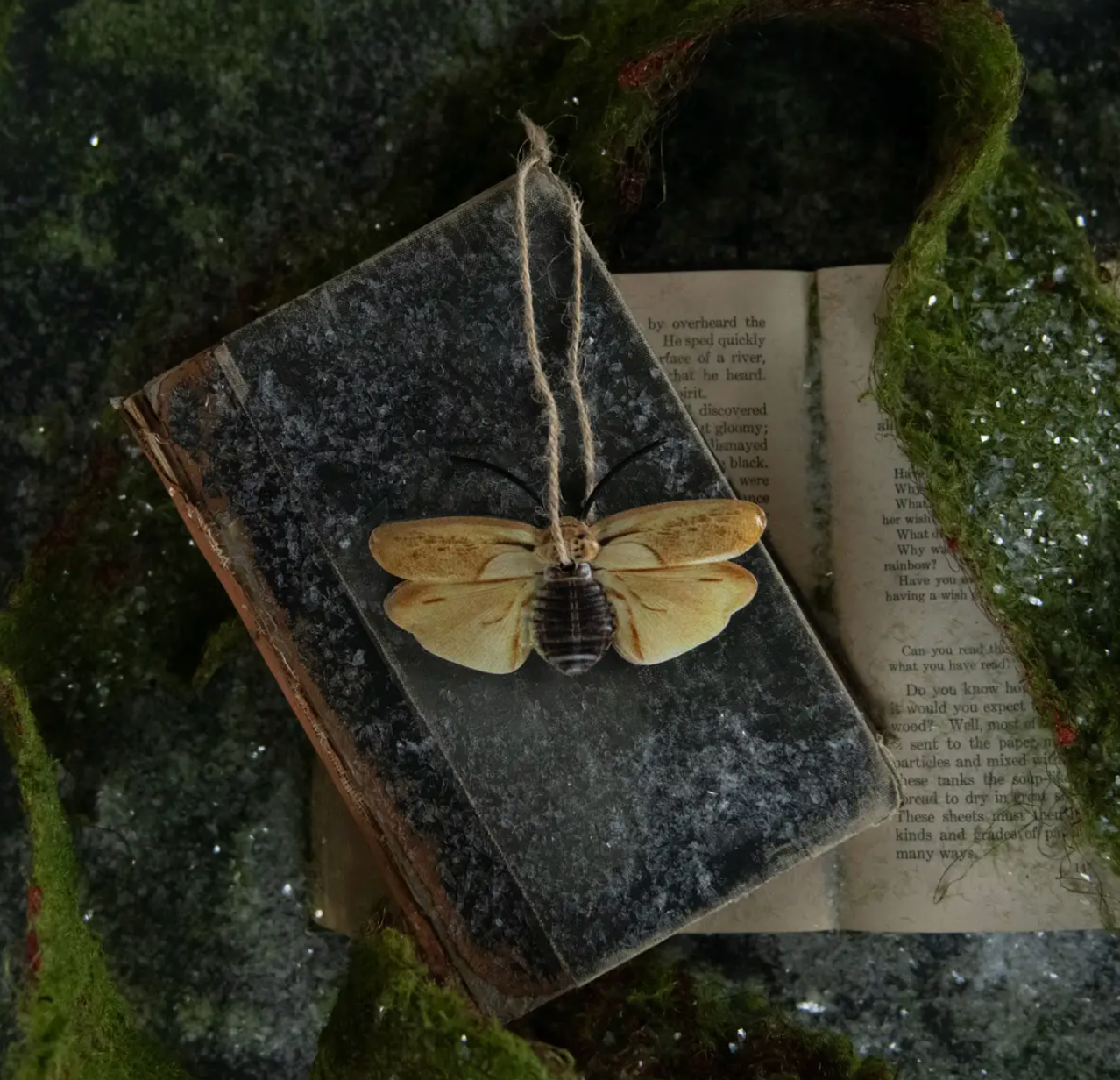5409 Cream & Balck Moth Ornamentr