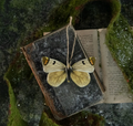 5411 Moth Ornament