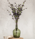 9019 Purple Eucalyptus Seed Bush