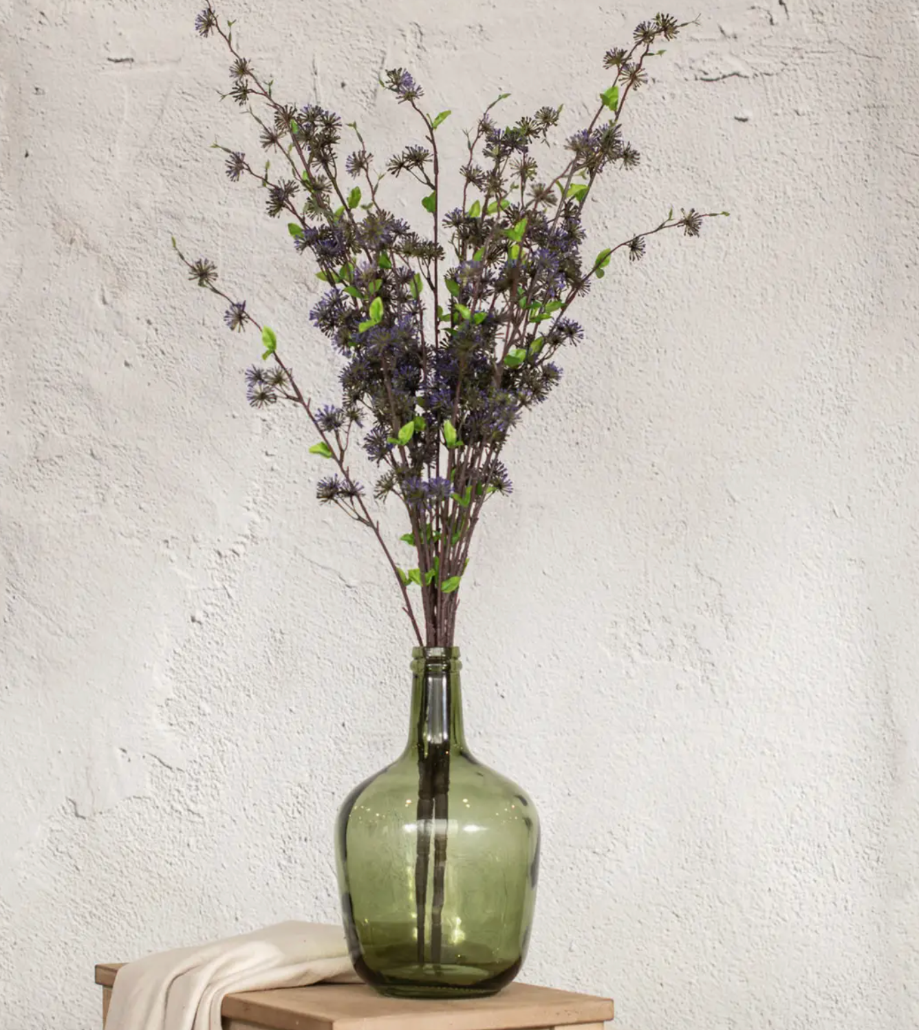 9019 Purple Eucalyptus Seed Bush