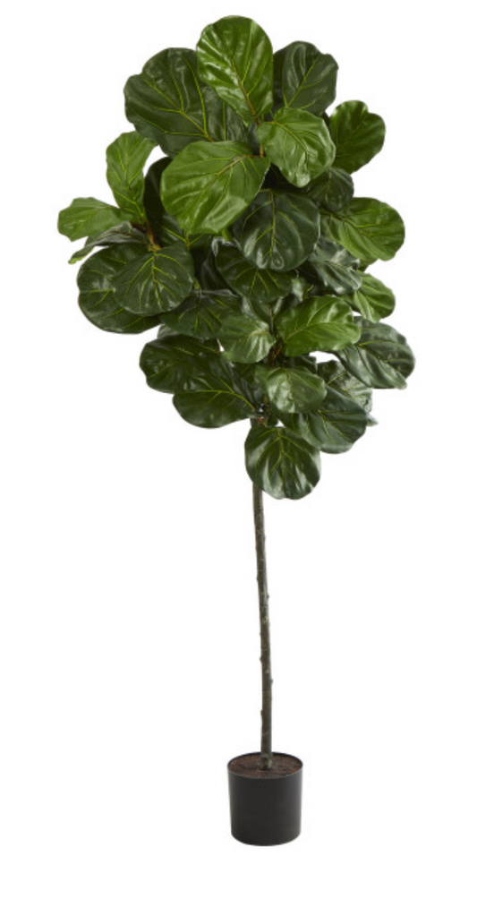 T1402 6.6" Fiddle fig Artificial Tree