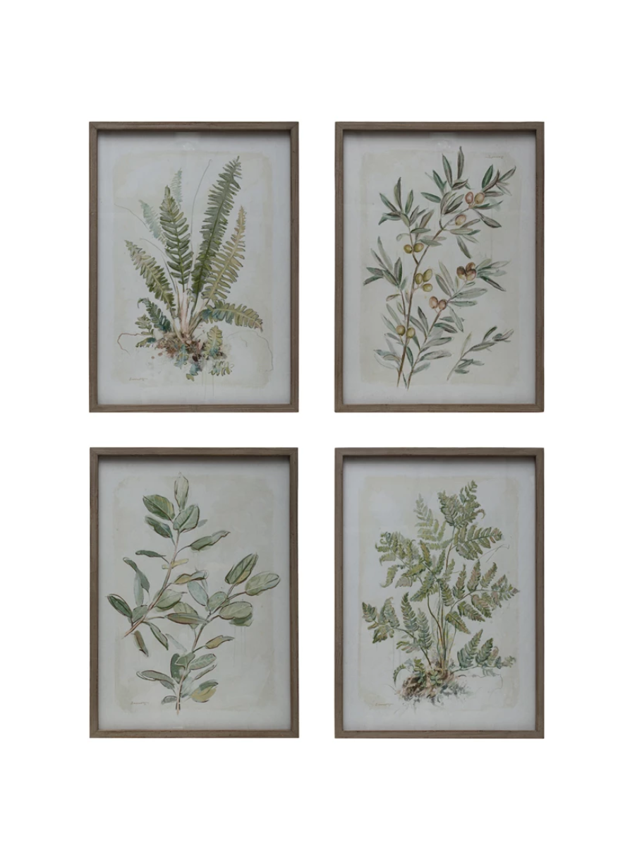 DF6782A Wood Framed Botanical Print