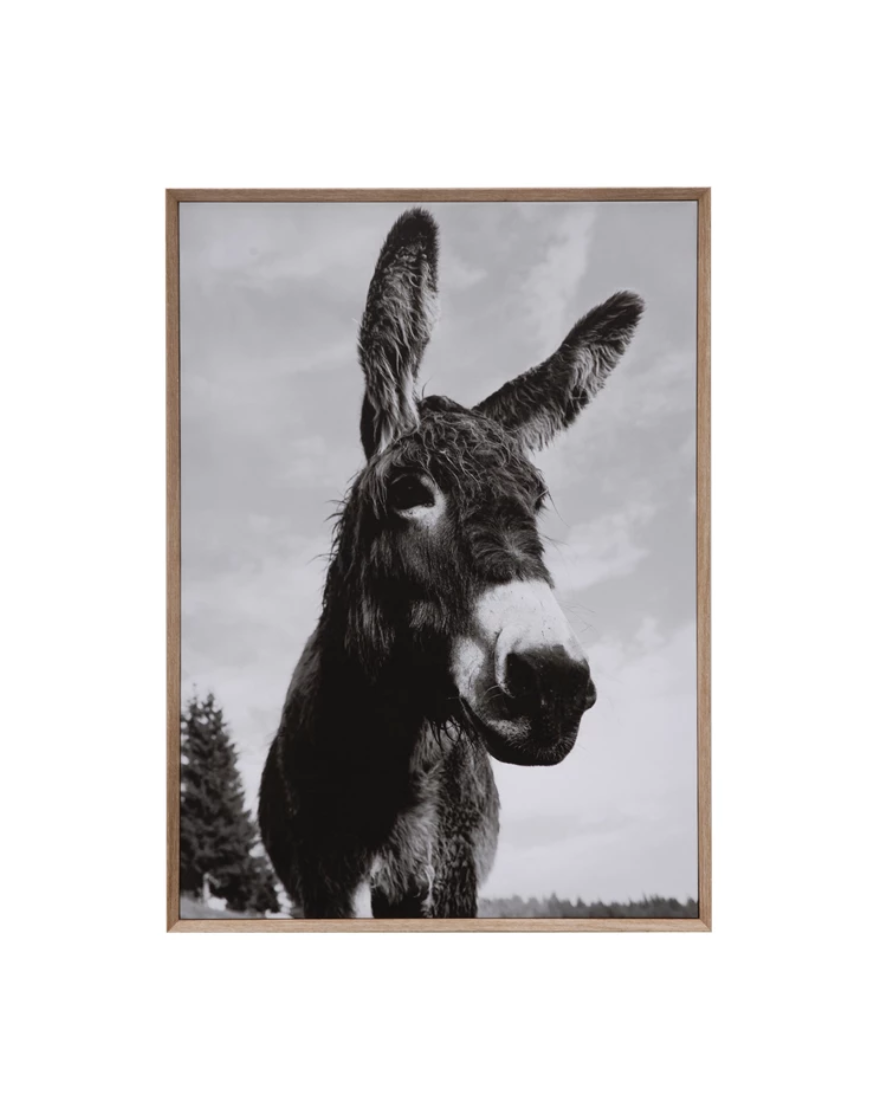 DG4755 Framed Canvas Donkey Head Wall Decor