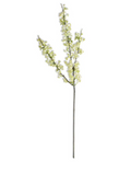 15248A-CR 34" Cream Wild Blossom