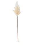 42127A-CR 25" Flocked Cream Pampas