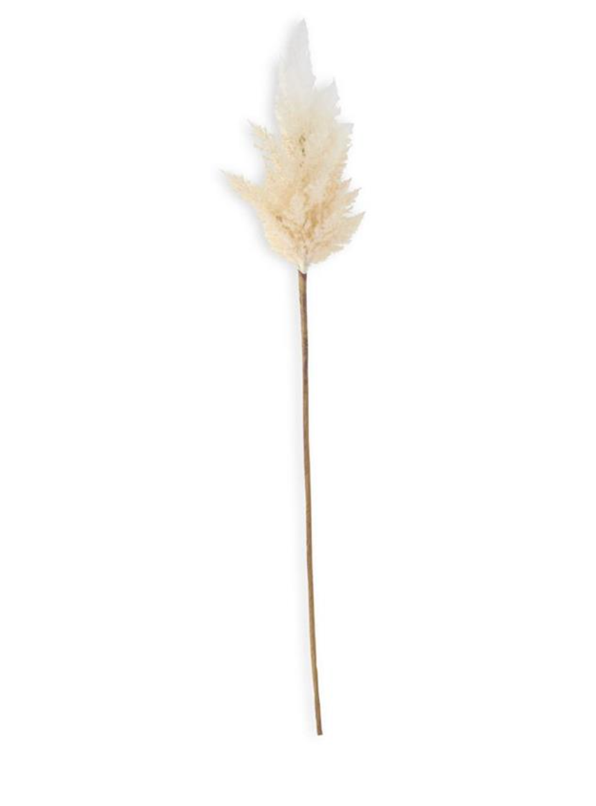 42127A-CR 25" Flocked Cream Pampas