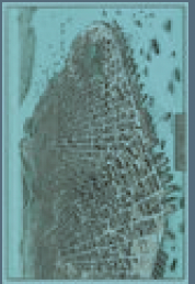 2487-369 poster