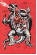 2487-9044 poster