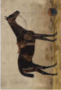 2487-8202 poster