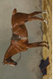 2487-5771 poster