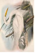 2487-3084 poster