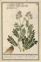 2487-2698 poster