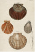 2487-548 poster