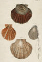 2487-548 poster