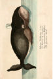 2487-4366 poster
