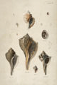 2487-683 poster