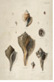 2487-683 poster