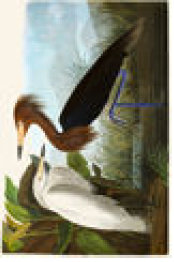 2487-5871 poster