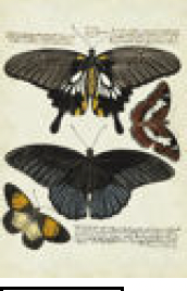 2487-2629 poster