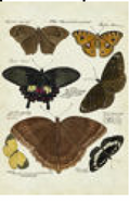 2487-4887 poster