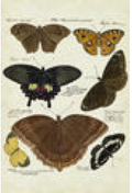 4192-4887 Wall hanging