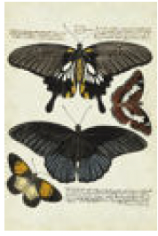 4192-2629 Wall hanging