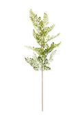 12433B 35" Maidenhair Fern Stem