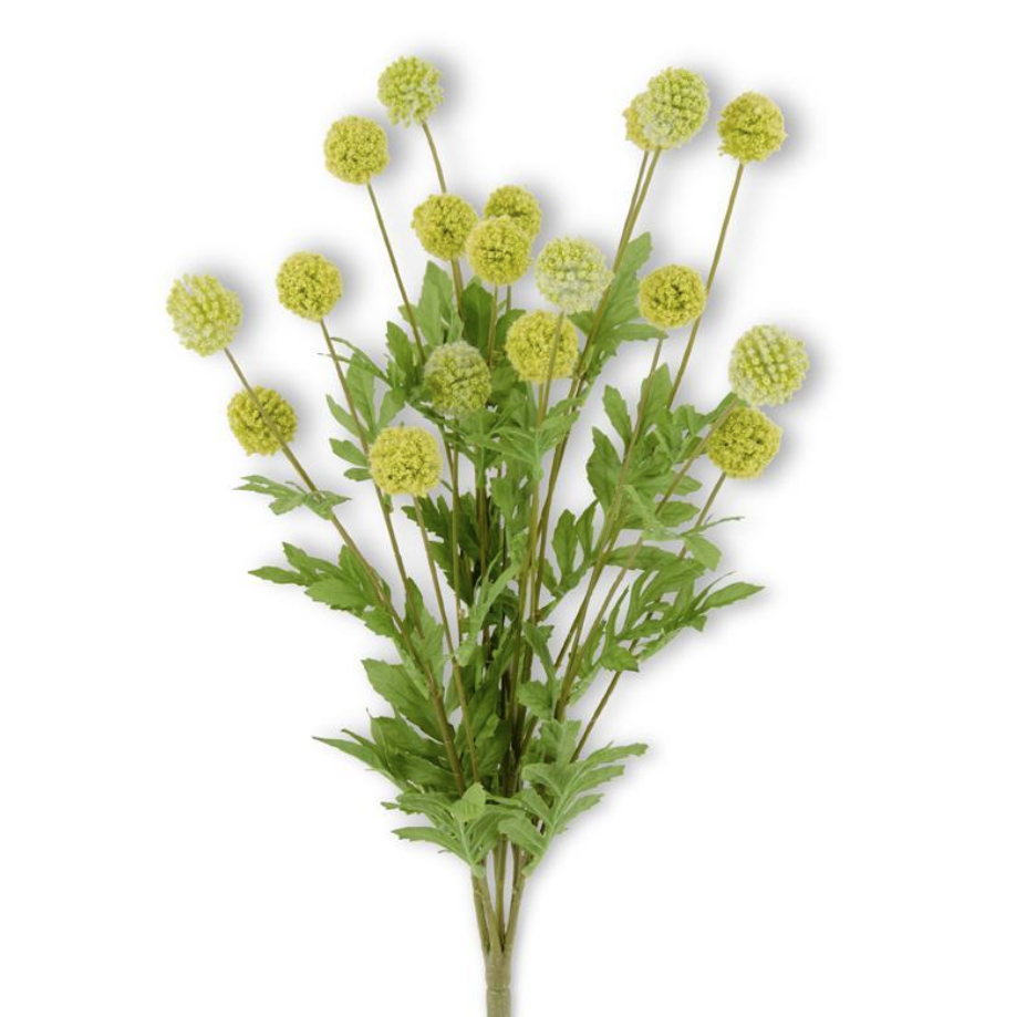 17182A-GR 22" Green Mini Allium Buch w/ Foliage