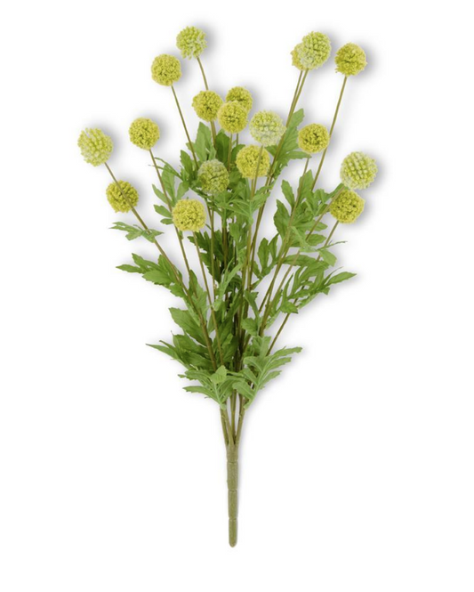 17182A-GR 22" Green Mini Allium Buch w/ Foliage