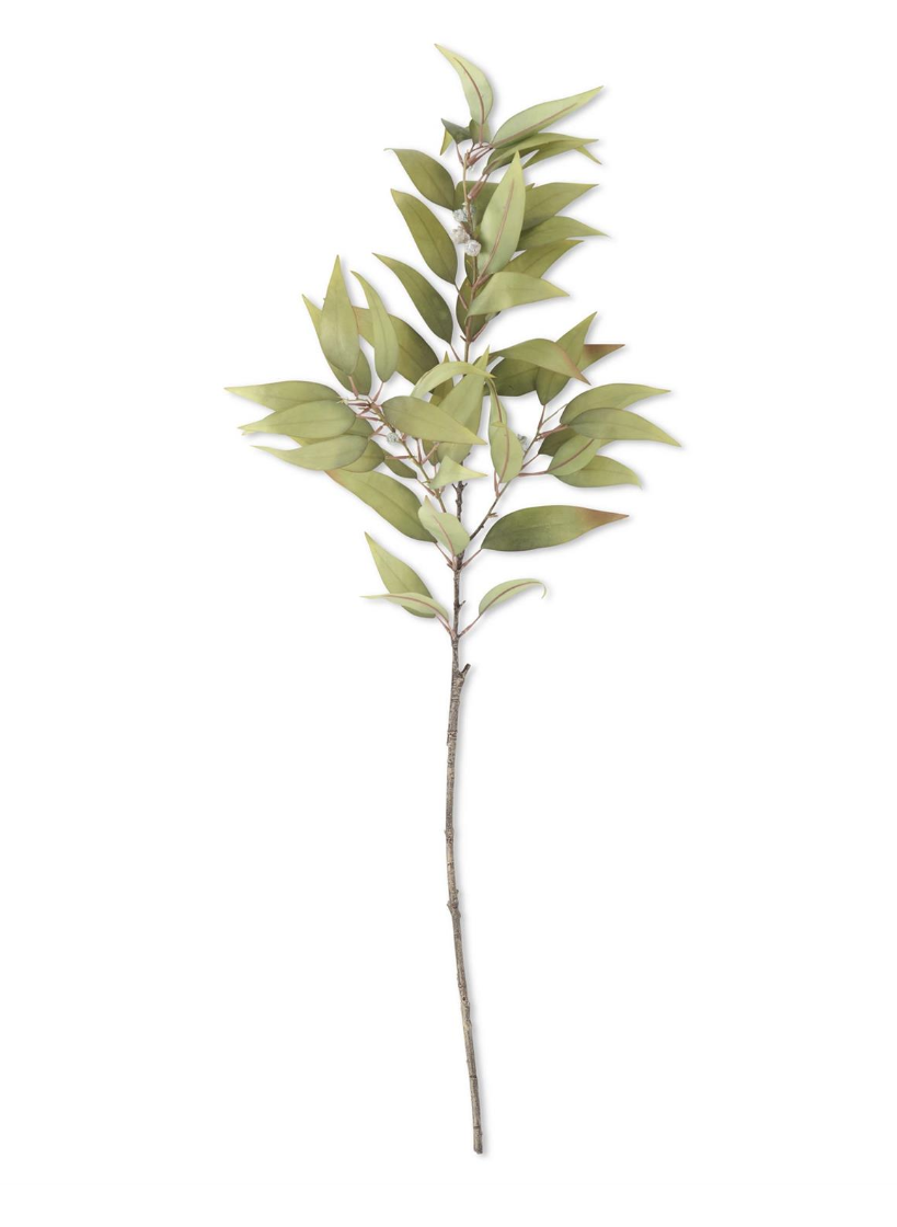 18780A 48" Green Eucalyptus Branch w/ Pods