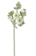 17804A-WH 24.5" White Real Touch 5 Head Ranunculus Stem