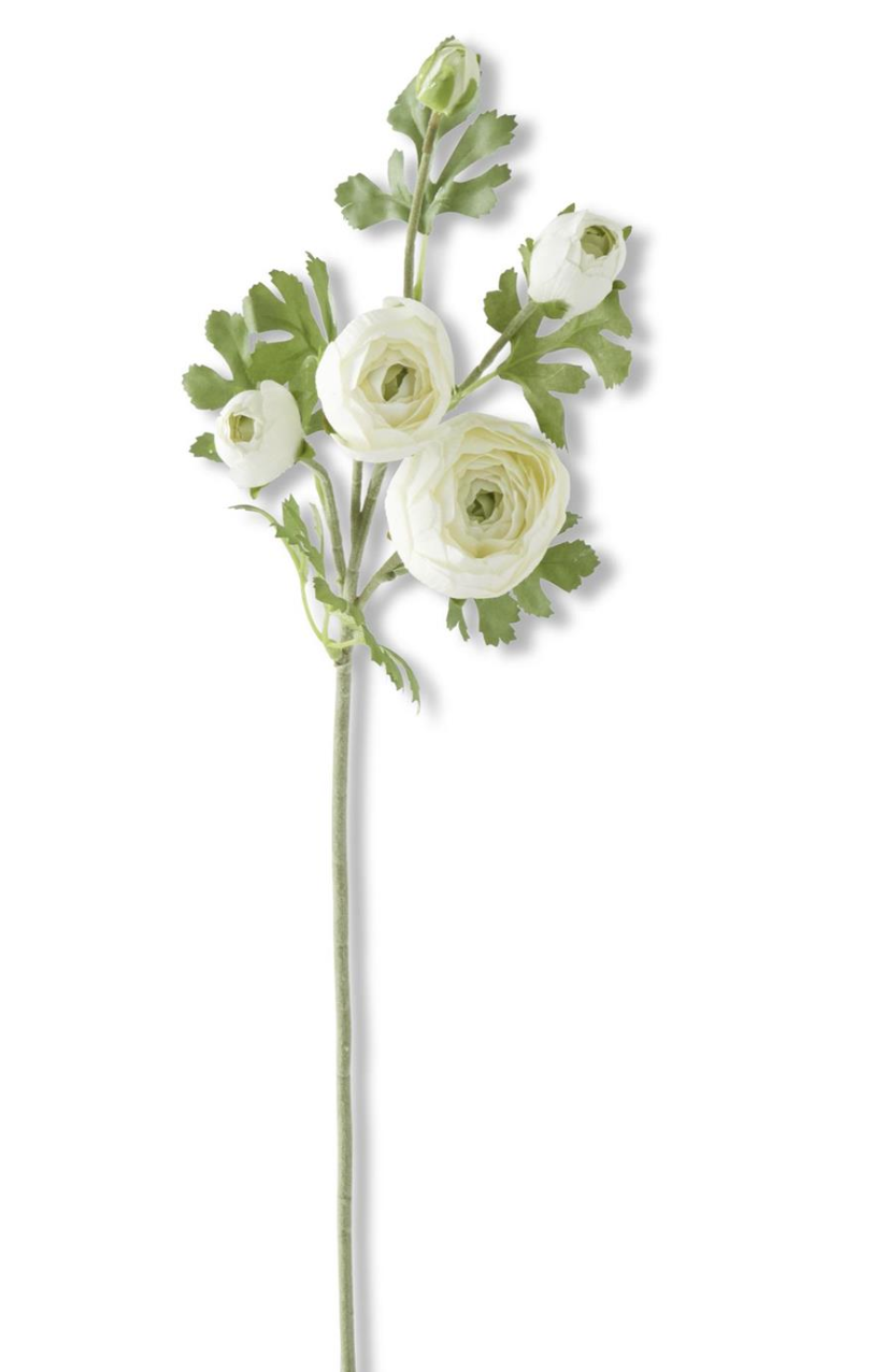 17804A-WH 24.5" White Real Touch 5 Head Ranunculus Stem