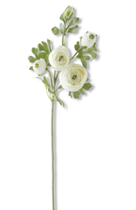 17804A-WH 24.5" White Real Touch 5 Head Ranunculus Stem