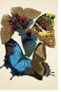 2487-877 poster