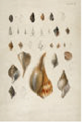 2487-426 poster