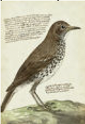 2487-6166 poster