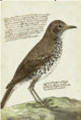 2487-6166 poster