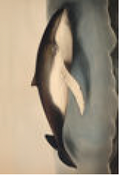 2487-8228 poster