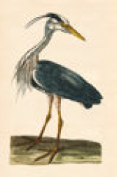 5687-9809 Wall hanging