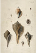 4192-683 Wall hanging
