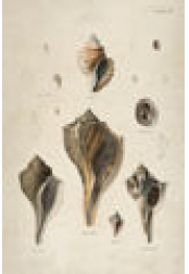 4192-683 Wall hanging