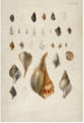 4192-426 Wall hanging