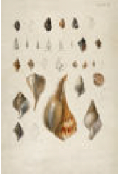 4192-426 Wall hanging