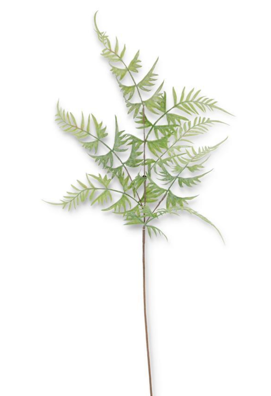 17271A 31" Real touch Parsley Fern Spary