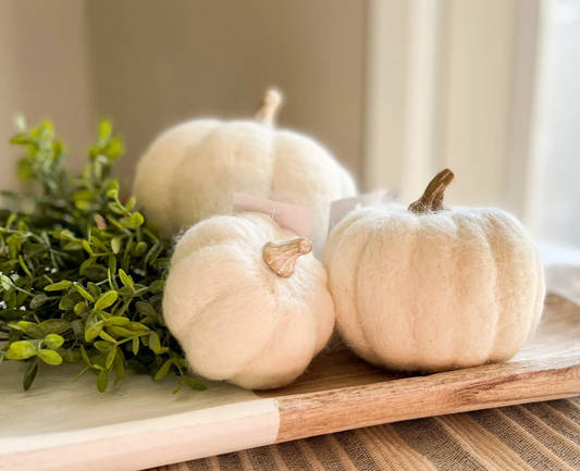 5-4009 Small Felt Pumpkin, White