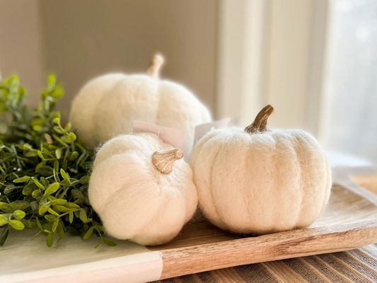 5-4007 Large Felt Pumpkin, White