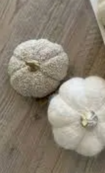 5-4025 Boucle Pumpkin